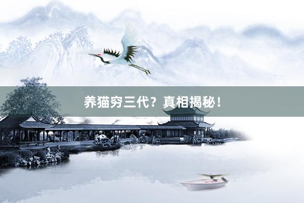 养猫穷三代？真相揭秘！