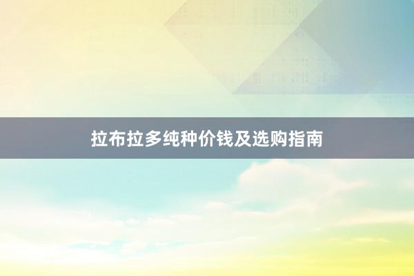 拉布拉多纯种价钱及选购指南