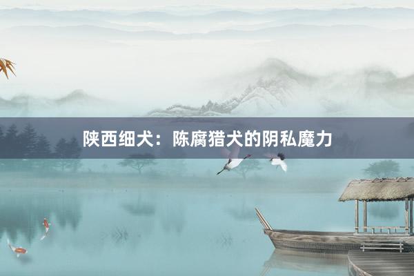 陕西细犬：陈腐猎犬的阴私魔力