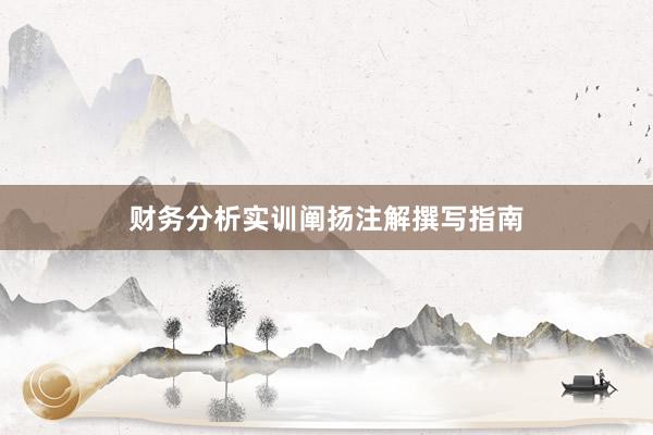 财务分析实训阐扬注解撰写指南